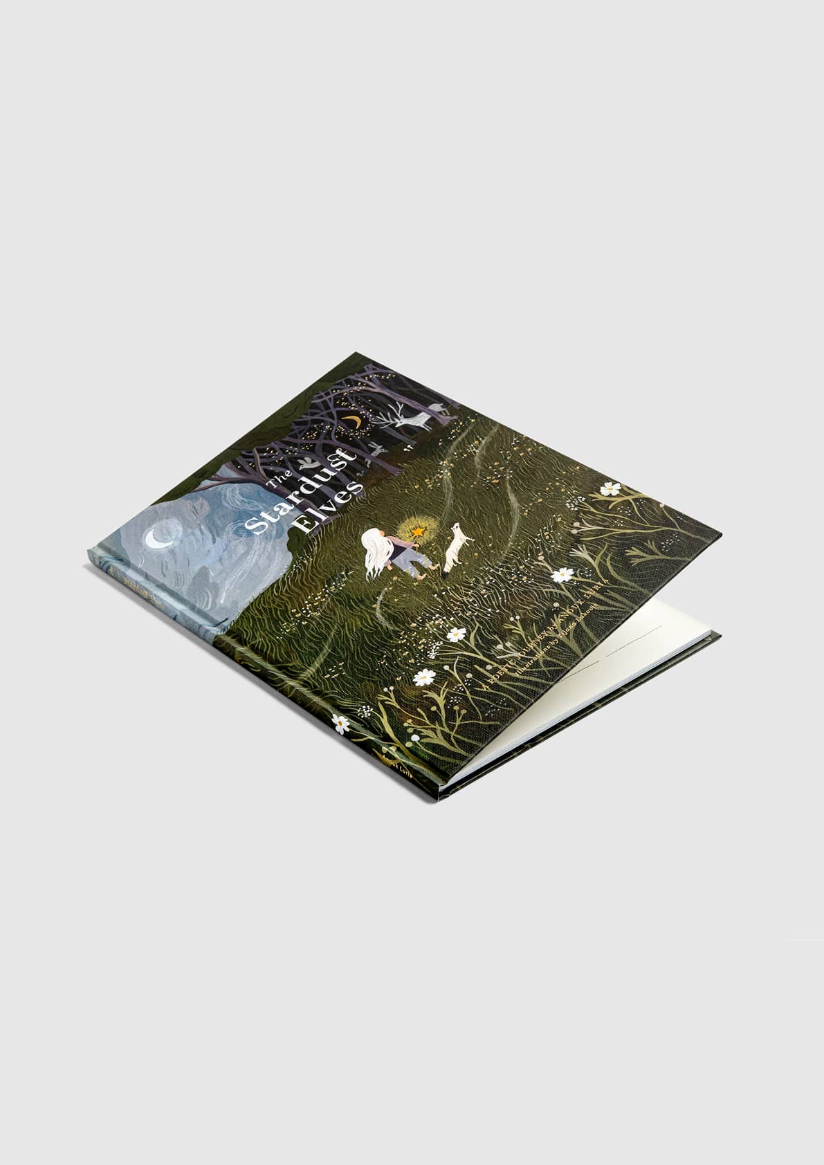 TSE_Website_ayaphotos_Mockup_1728x